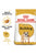 ROYAL CANIN BULLDOG ADULT DRY DOG FOOD - ThePetsClub