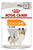 ROYAL CANIN CANINE CARE NUTRITION COAT BEAUTY WET FOOD - ThePetsClub