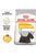 ROYAL CANIN CANINE CARE NUTRITION MINI DERMACOMFORT DRY FOOD - ThePetsClub