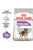 ROYAL CANIN CANINE CARE NUTRITION MINI STERILIZED ADULT DRY FOOD - ThePetsClub