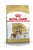 ROYAL CANIN CAVALIER KING CHARLES ADULT DRY DOG FOOD - ThePetsClub