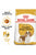 ROYAL CANIN CAVALIER KING CHARLES ADULT DRY DOG FOOD - ThePetsClub