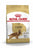 ROYAL CANIN COCKER ADULT DRY DOG FOOD - ThePetsClub