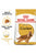 ROYAL CANIN COCKER ADULT DRY DOG FOOD - ThePetsClub