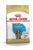 ROYAL CANIN COCKER PUPPY DRY FOOD - ThePetsClub