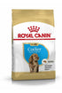 Royal Canin Breed Health Nutrition Cocker Dry Puppy Food - 3kg