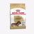 ROYAL CANIN DACHSHUND ADULT DRY FOOD للبالغين - ThePETSClub