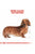 ROYAL CANIN DACHSHUND ADULT DRY FOOD - ThePetsClub