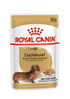 Royal Canin Breed Health Nutrition Dachshund Adult Wet Dog Food - 85g