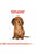ROYAL CANIN DACHSHUND PUPPY DRY DOG FOOD - ThePetsClub