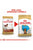 ROYAL CANIN DACHSHUND PUPPY DRY DOG FOOD - ThePetsClub