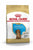 ROYAL CANIN DACHSHUND PUPPY DRY DOG FOOD - ThePetsClub