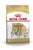 ROYAL CANIN DALMATIAN ADULT DRY DOG FOOD - ThePetsClub