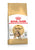 ROYAL CANIN FELINE BREED NUTRITION BENGAL ADULT DRY FOOD - ThePetsClub