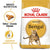ROYAL CANIN FELINE BREED NUTRITION BENGAL ADULT DRY FOOD - ThePetsClub