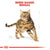 ROYAL CANIN FELINE BREED NUTRITION BENGAL ADULT DRY FOOD - ThePetsClub