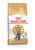 ROYAL CANIN FELINE BREED NUTRITION BRITISH SHORTHAIR ADULT DRY FOOD - ThePetsClub