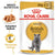 Royal Canin Feline Breed Nutrition British Shorthair Cat Wet Food -12x85g - ThePetsClub