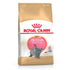 Royal Canin Feline Breed Nutrition British Shorthair Dry Kitten Food - 2kg