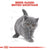 Royal Canin Feline Breed Nutrition British Shorthair Kitten- 2 Kg - ThePetsClub
