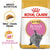 Royal Canin Feline Breed Nutrition British Shorthair Kitten- 2 Kg - ThePetsClub