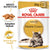Royal Canin Feline Breed Nutrition Maine Coon Cat Wet Food - 12x85g - ThePetsClub