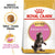 Royal Canin Feline Breed Nutrition Maine Coon Kitten - 2 Kg - ThePetsClub