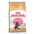 Royal Canin Feline Breed Nutrition Maine Coon Dry Kitten Food - 2 Kg
