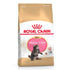 Royal Canin Feline Breed Nutrition Maine Coon Dry Kitten Food - 2Kg