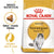 ROYAL CANIN FELINE BREED NUTRITION NORWEGIAN FOREST CAT ADULT DRY FOOD - ThePetsClub