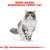 ROYAL CANIN FELINE BREED NUTRITION NORWEGIAN FOREST CAT ADULT DRY FOOD - ThePetsClub
