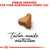 ROYAL CANIN FELINE BREED NUTRITION NORWEGIAN FOREST CAT ADULT DRY FOOD - ThePetsClub