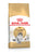 ROYAL CANIN FELINE BREED NUTRITION NORWEGIAN FOREST CAT ADULT DRY FOOD - ThePetsClub