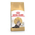 Royal Canin Feline Breed Nutrition Persian Adult Dry Cat Food - 400g