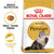 Royal Canin Feline Breed Nutrition Persian Adult -400g - ThePetsClub