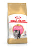 Royal Canin Feline Breed Nutrition Persian Dry Kitten Food