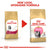 ROYAL CANIN FELINE BREED NUTRITION PERSIAN KITTENT DRY FOOD - ThePetsClub