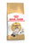 ROYAL CANIN FELINE BREED NUTRITION RAGDOLL ADULT DRY FOOD - ThePetsClub