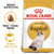 ROYAL CANIN FELINE BREED NUTRITION RAGDOLL ADULT DRY FOOD - ThePetsClub