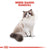 ROYAL CANIN FELINE BREED NUTRITION RAGDOLL ADULT DRY FOOD - ThePetsClub