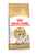 ROYAL CANIN FELINE BREED NUTRITION SIAMESE ADULT DRY FOOD - ThePetsClub