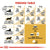 ROYAL CANIN FELINE BREED NUTRITION SIAMESE ADULT DRY FOOD - ThePetsClub