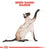ROYAL CANIN FELINE BREED NUTRITION SIAMESE ADULT DRY FOOD - ThePetsClub