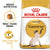 ROYAL CANIN FELINE BREED NUTRITION SIAMESE ADULT DRY FOOD - ThePetsClub