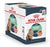 Royal Canin Feline Care Nutrition Digest Sensitive Gravy Cat Wet Food -12x85g - ThePetsClub