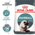 ROYAL CANIN FELINE CARE NUTRITION HAIRBALL CARE DRY FOOD - ThePetsClub