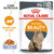 ROYAL CANIN FELINE CARE NUTRITION INTENSE BEAUTY JELLY WET FOOD - POUCHES 12x85G - ThePetsClub