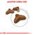 ROYAL CANIN FELINE CARE NUTRITION LIGHT WEIGHT CARE DRY FOOD - ThePetsClub