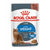 ROYAL CANIN FELINE CARE NUTRITION LIGHT WEIGHT CARE WET FOOD - ThePetsClub
