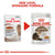 ROYAL CANIN FELINE HEALTH NUTRITION AGEING +12 WET FOOD - ThePetsClub